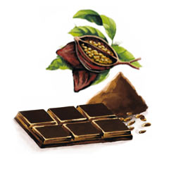 Картинка на черен шоколад на Монин