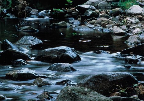Потока Рингорн, източник на вода за дестилерията Макалън