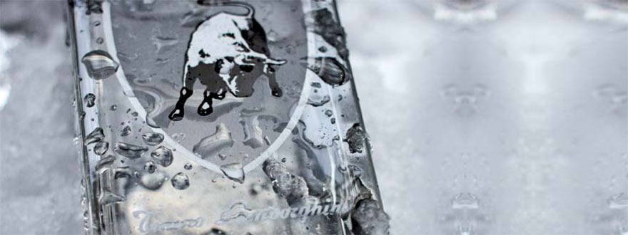Бутилка водка Тонино Ламборгини в лед