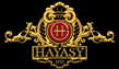 Хаяси Груп лого 63